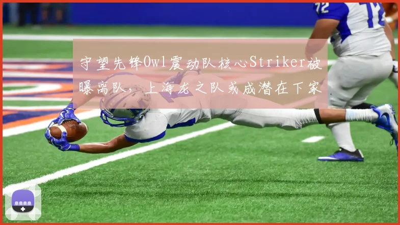 守望先锋Owl震动队核心Striker被曝离队，上海龙之队或成潜在下家？