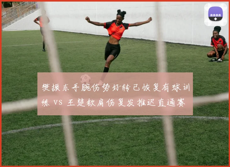 樊振东手腕伤势好转已恢复有球训练 vs 王楚钦肩伤复发推迟直通赛，国乒男单核心轮换在即